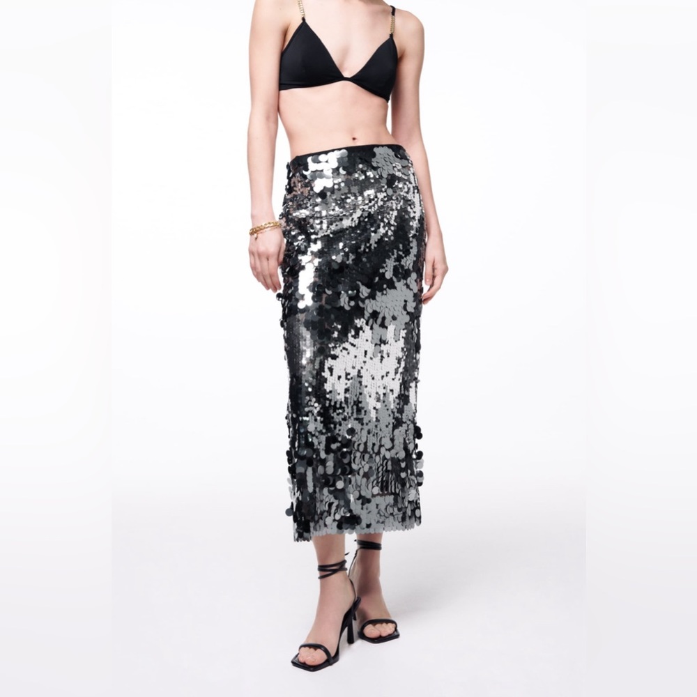 NWT zara special edition sequin skirt 9077/102/836